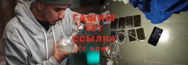 гашик Щигры