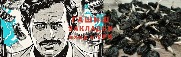 гашик Щигры