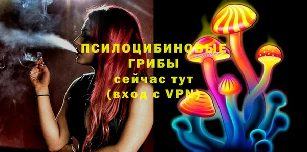 гашик Щигры