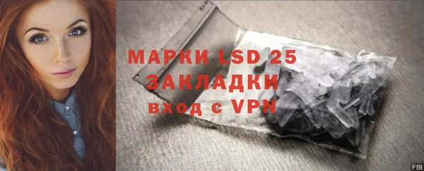 гашик Щигры