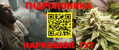 ПСИЛОЦИБИНОВЫЕ ГРИБЫ Бийск