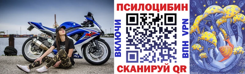 Галлюциногенные грибы мицелий  Чебоксары 