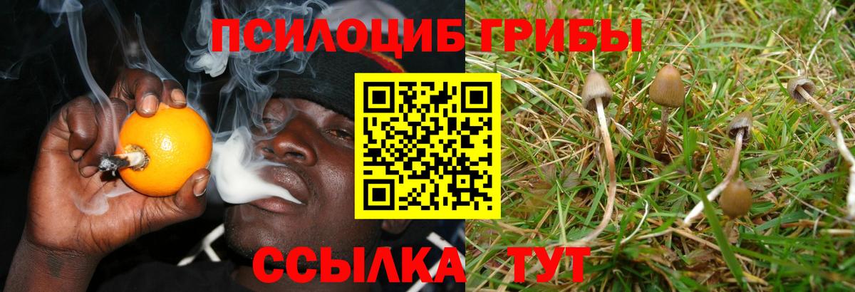 Галлюциногенные грибы прущие грибы Чебоксары