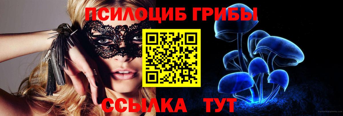 Псилоцибиновые грибы Psilocybine cubensis  наркотики  Чебоксары 
