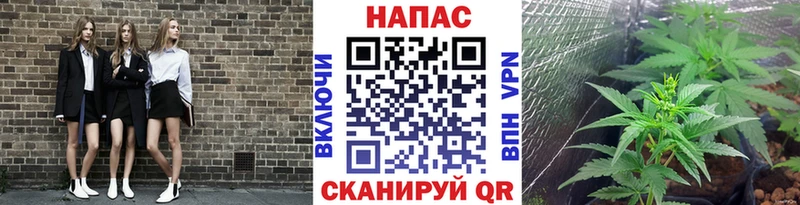Шишки марихуана конопля  блэк спрут tor  Чебоксары  цены наркотик 